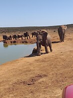 A1 Kynaston collection