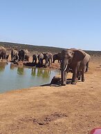 A1 Kynaston collection