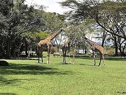 Muthu Lake Naivasha Country Club, Naivasha