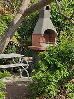 Dolphin Village - Sea Resort