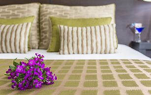 Studio Hotel Boutique