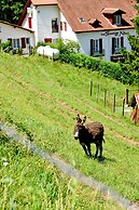 Les Sources de la Nive
