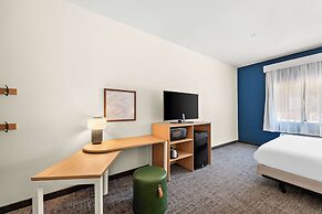 Spark by Hilton Mansfield