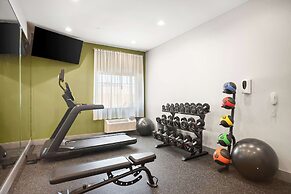 Spark by Hilton Mansfield