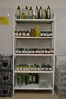 Azienda Agrituristica Villa Arianna