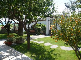 Azienda Agrituristica Villa Arianna