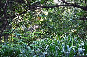 The Rabbit Hole Hotel