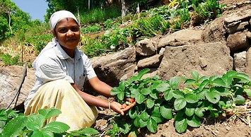 Blackberry Hills Munnar - Nature Resort & Spa
