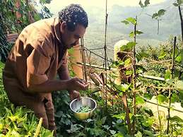 Blackberry Hills Munnar - Nature Resort & Spa