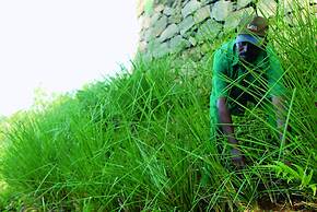 Blackberry Hills Munnar - Nature Resort & Spa