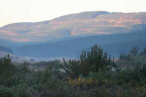 Gunyatoo Trout Farm & Guest Lodge