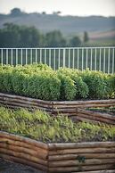 La Foresteria Planeta Estate