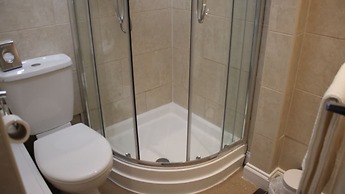 The Whittington & Cat