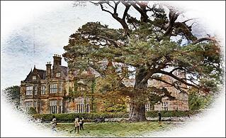 Brook Lodge Boutique Hotel