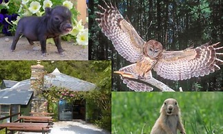 Brook Lodge Boutique Hotel