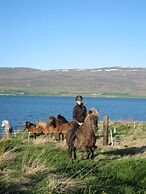 Skjaldarvik Guest House