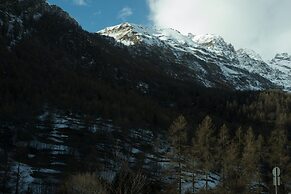 Etoile de Neige