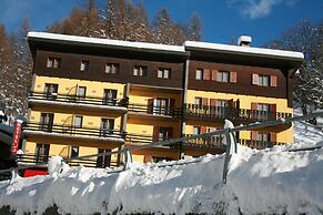 Etoile de Neige