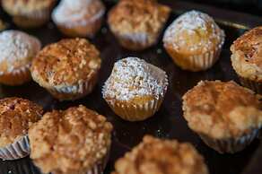 Diego Almagro Lomas Verdes