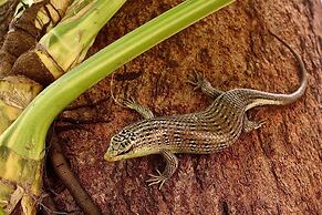 Perhentian Island Resort