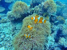 Perhentian Island Resort