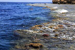 Sharm Club Beach Resort