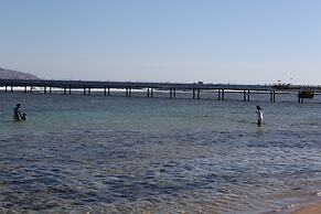 Sharm Club Beach Resort