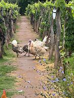 Finca Adalgisa Wine Hotel