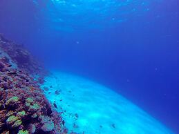 El Primo Dahab Hotel