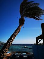 El Primo Dahab Hotel