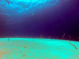 El Primo Dahab Hotel