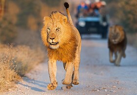 Pondoro Game Lodge  - Open to Kruger Park