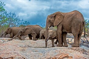 Pondoro Game Lodge  - Open to Kruger Park