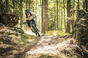 Hotel Allalin Saas-Fee