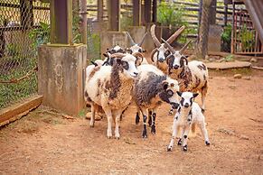 Leofoo Resort Guanshi