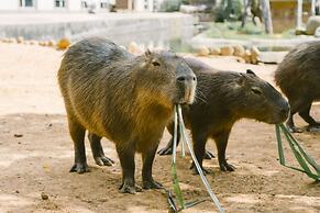 Leofoo Resort Guanshi