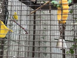 Hotel L'Oie des neiges