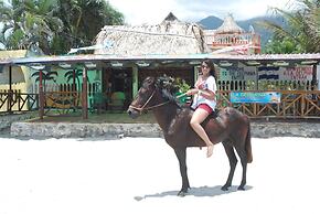 La Delphina B&B Bar and Grill Hotel