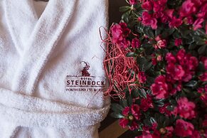 Hotel Steinbock