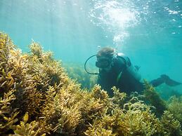 Aparthotel Adagio Abu Dhabi Al Bustan