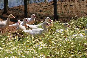 Popilia Country Resort