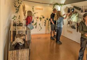 Tasman Holiday Parks – Coromandel