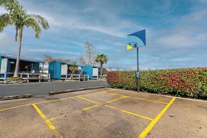 Tasman Holiday Parks – Coromandel