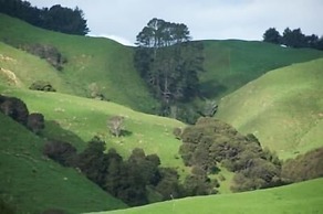 Foxgloves Bed and Breakfast