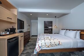 Duffin Cove Oceanfront Lodging