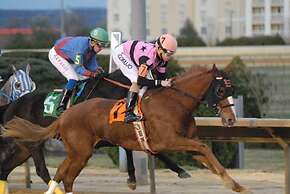 Hampton Inn & Suites Charles Town