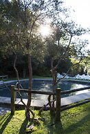 Hotel & Termas Huife