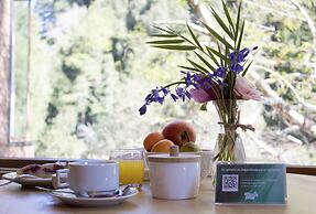 Hotel & Termas Huife