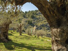 Muleta de Ca S'Hereu Agroturismo