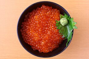 Natural Hot Spring Dormy Inn Premium Kushiro